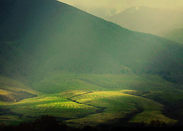 手机号在线轰炸测试